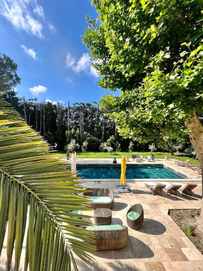 Pauline Bed & Breakfast Avignon